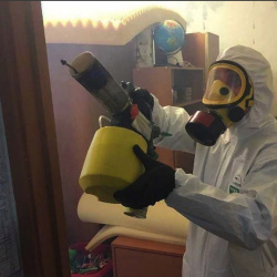 Уничтожение клопов в квартире. Карачаевск